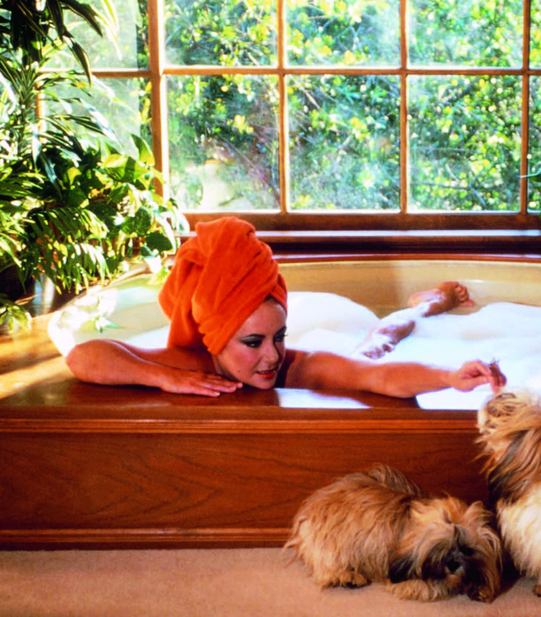 Forever Elizabeth: Iconic Photographers On A Legendary Star