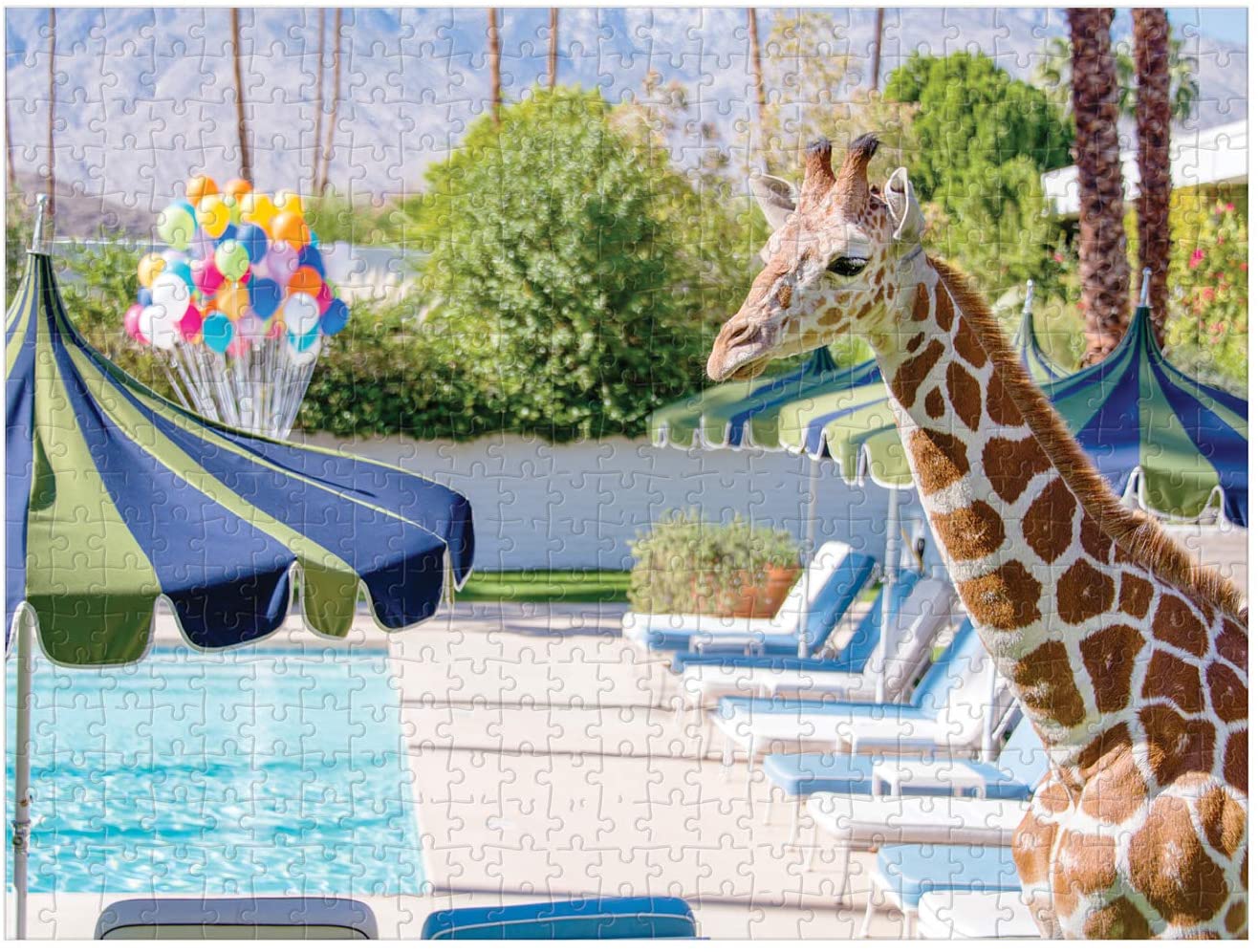 Gray Malin: At The Parker Double-Sided Puzzle, 500 Pieces - Just Fabulous Palm Springs