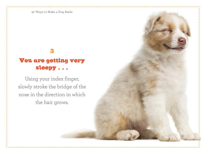 97 Ways To Make A Dog Smile - Just Fabulous Palm Springs