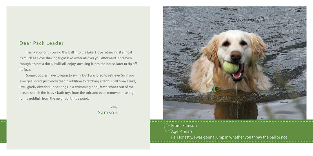 Sorry I Pooped In Your Shoe - Just Fabulous Palm Springs
