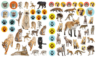 Eyelike Stickers: Wild Animals