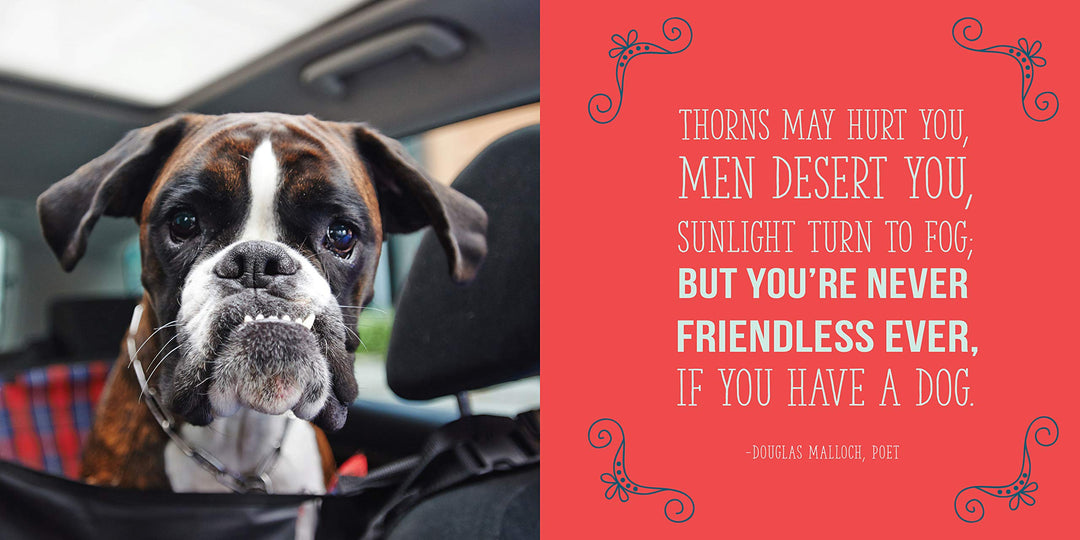 Dogs Will Be Dogs