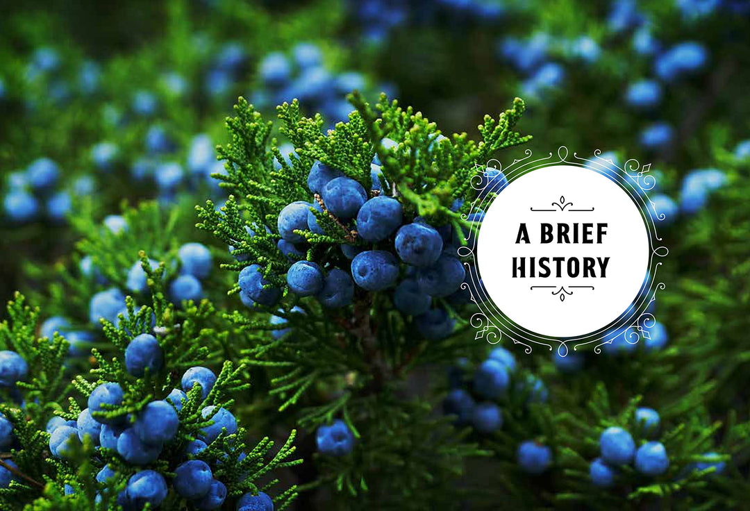 Enjoying Gin: A Tasting Guide And Journal