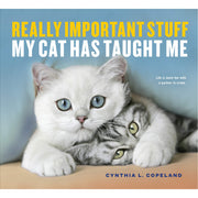 Really Important Stuff My Cat Has Taught Me - Just Fabulous Palm Springs