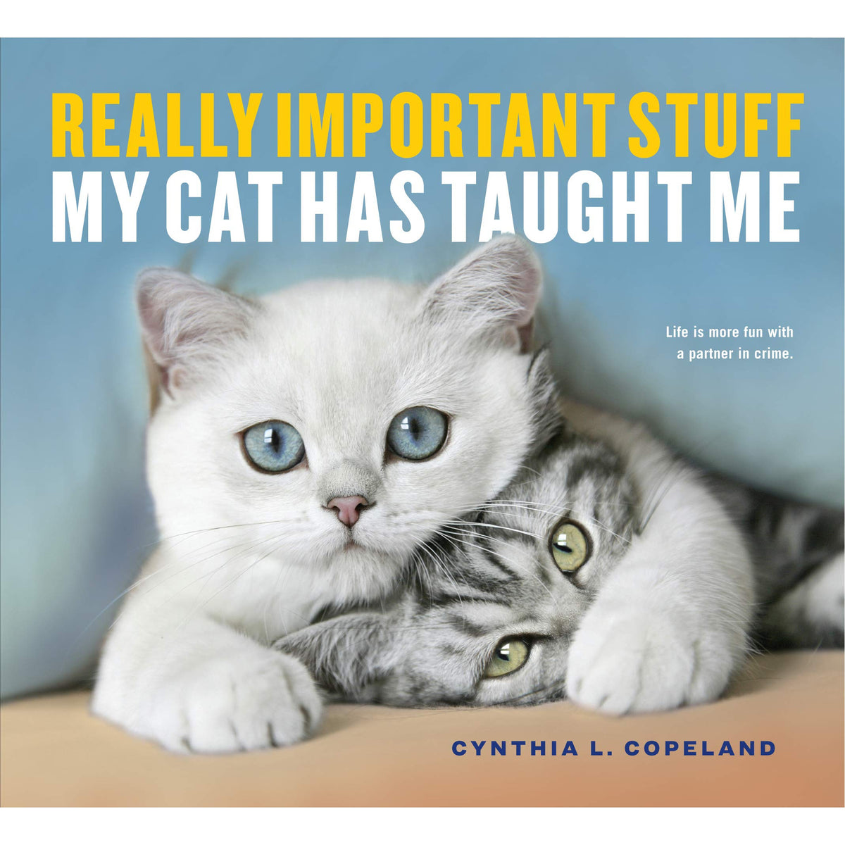 Really Important Stuff My Cat Has Taught Me - Just Fabulous Palm Springs