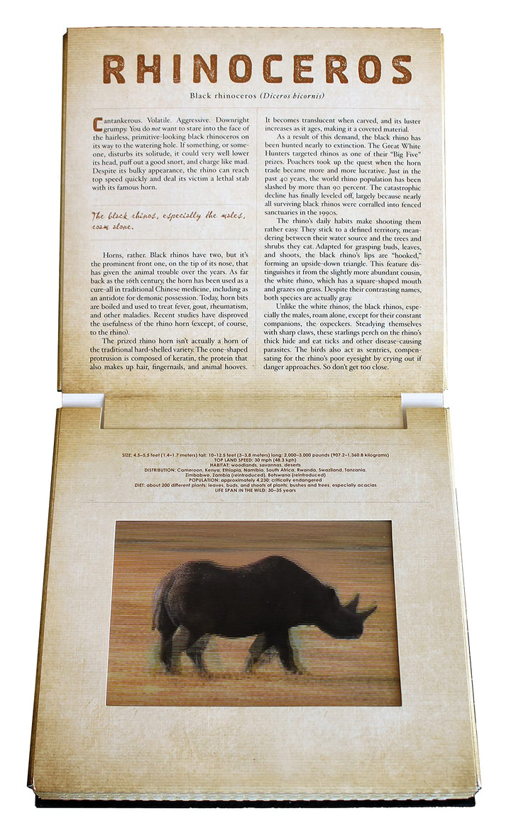 Safari - Photicular Book - Just Fabulous Palm Springs