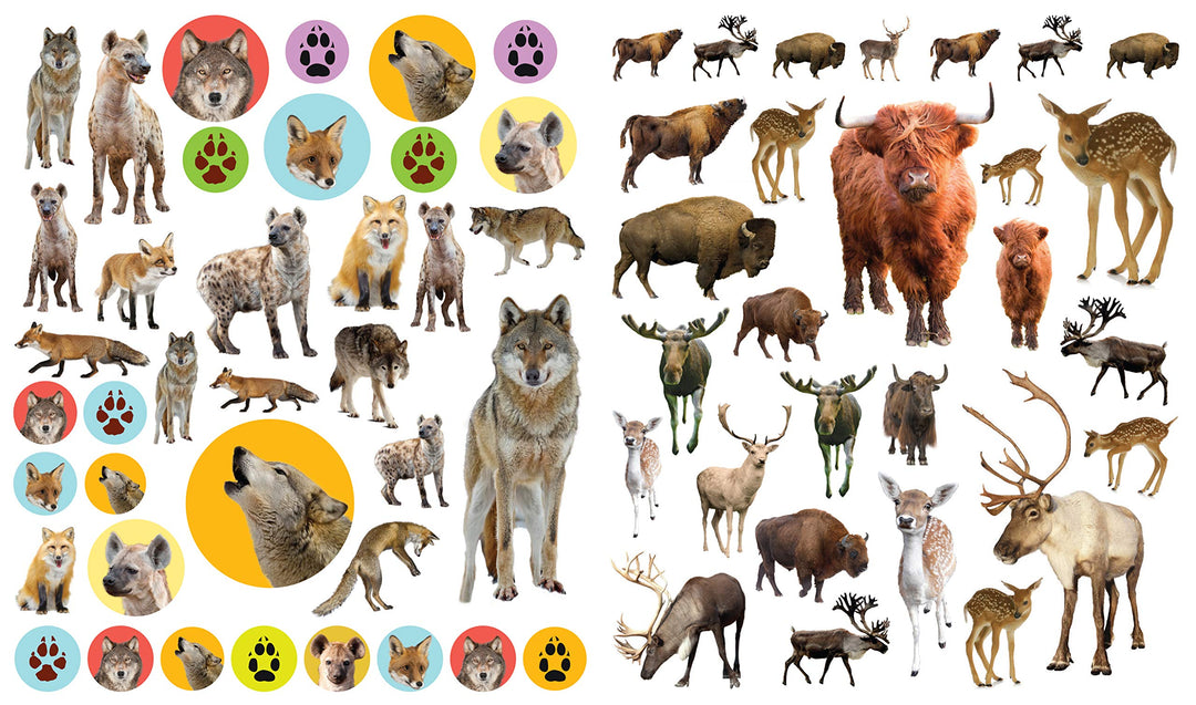 Eyelike Stickers: Wild Animals - Just Fabulous Palm Springs