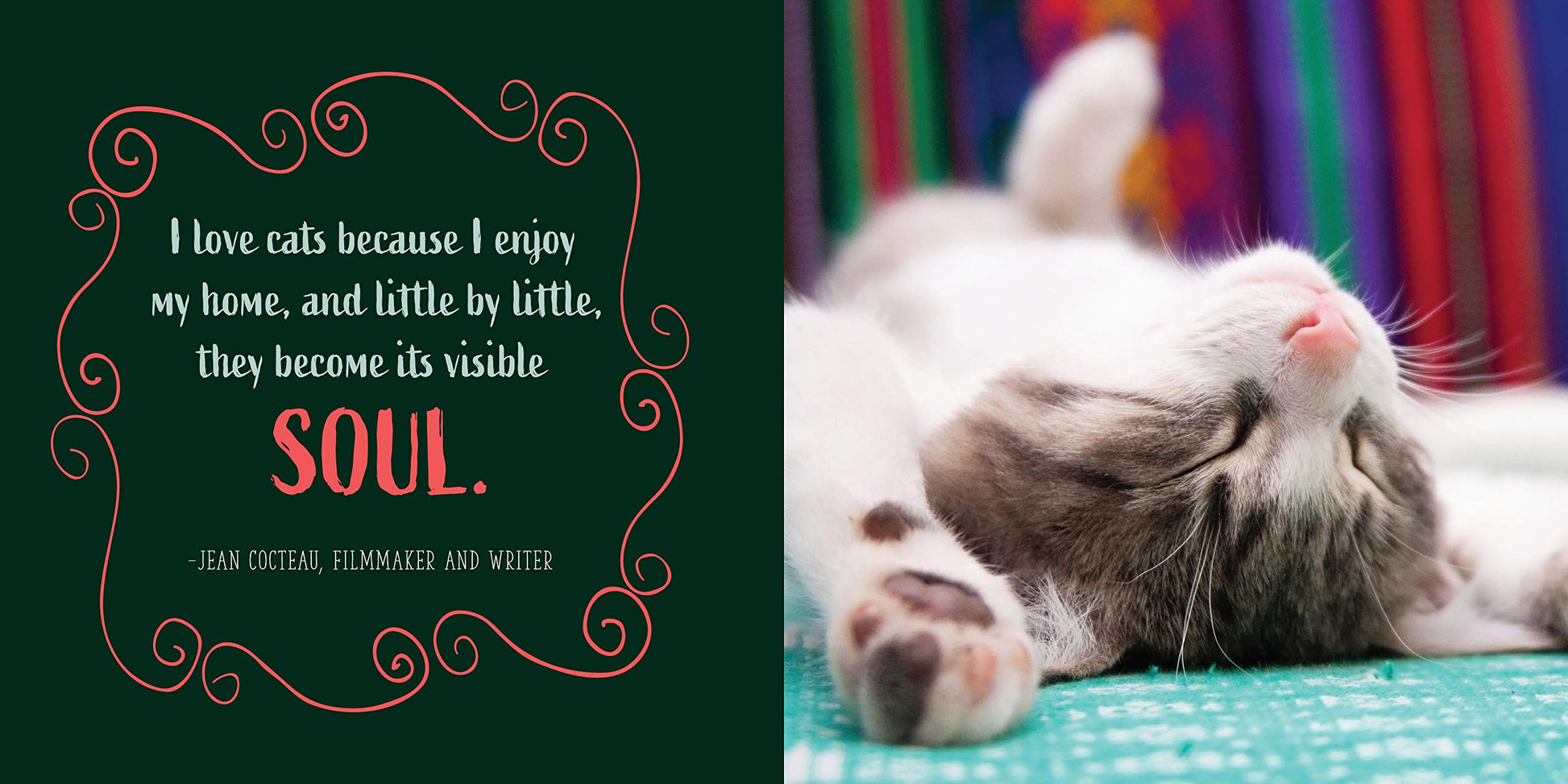 Cats Will Be Cats - Just Fabulous Palm Springs