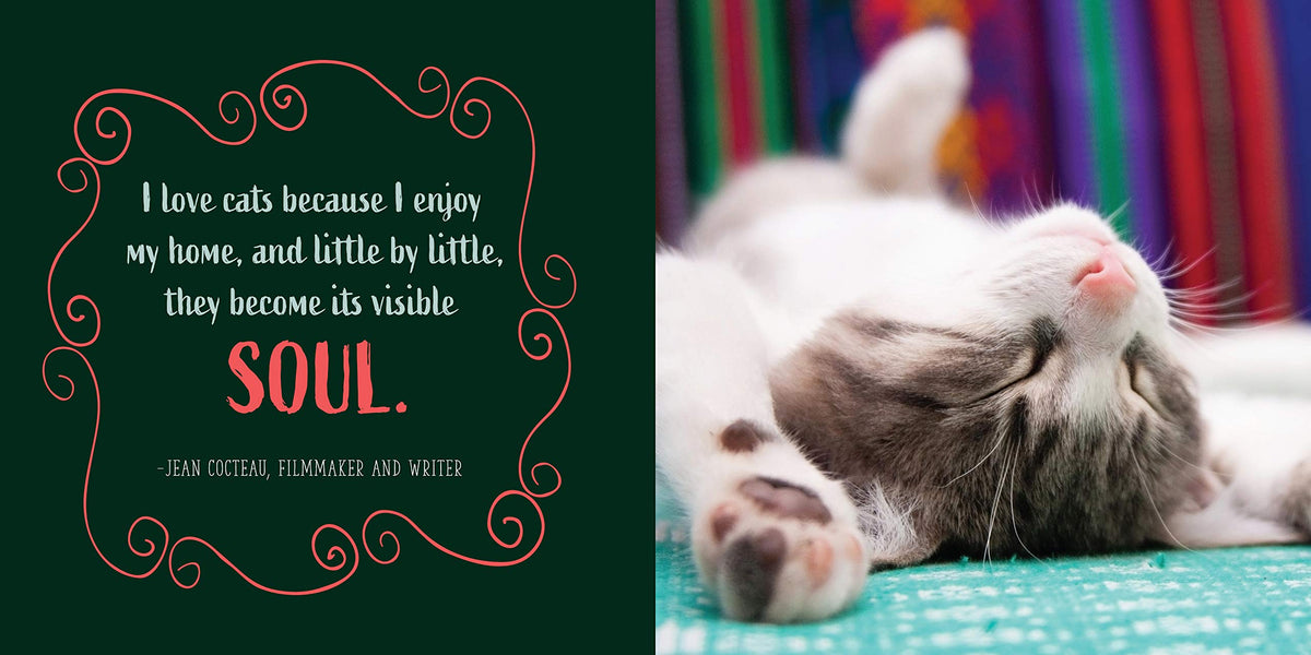 Cats Will Be Cats - Just Fabulous Palm Springs