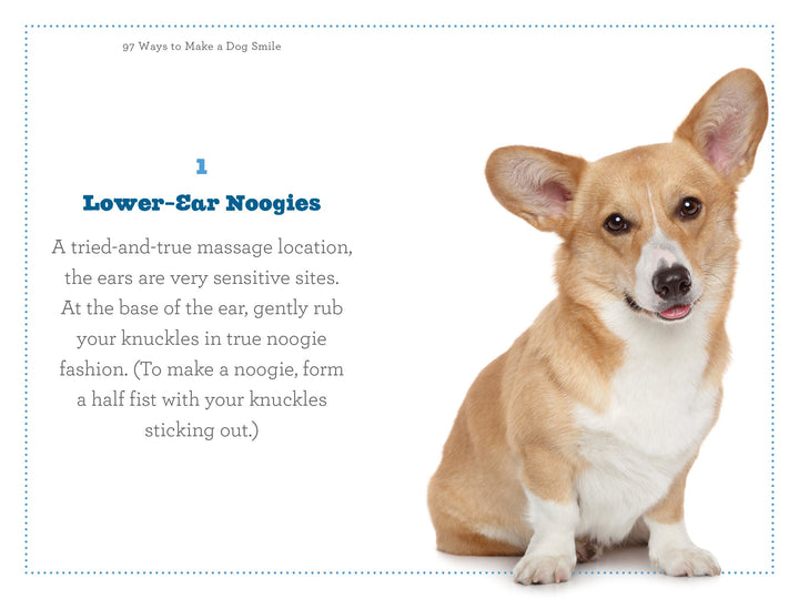 97 Ways To Make A Dog Smile - Just Fabulous Palm Springs
