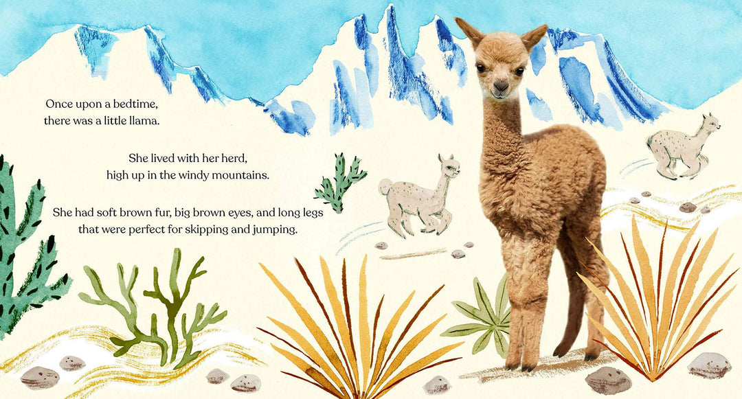 Goodnight, Little Llama