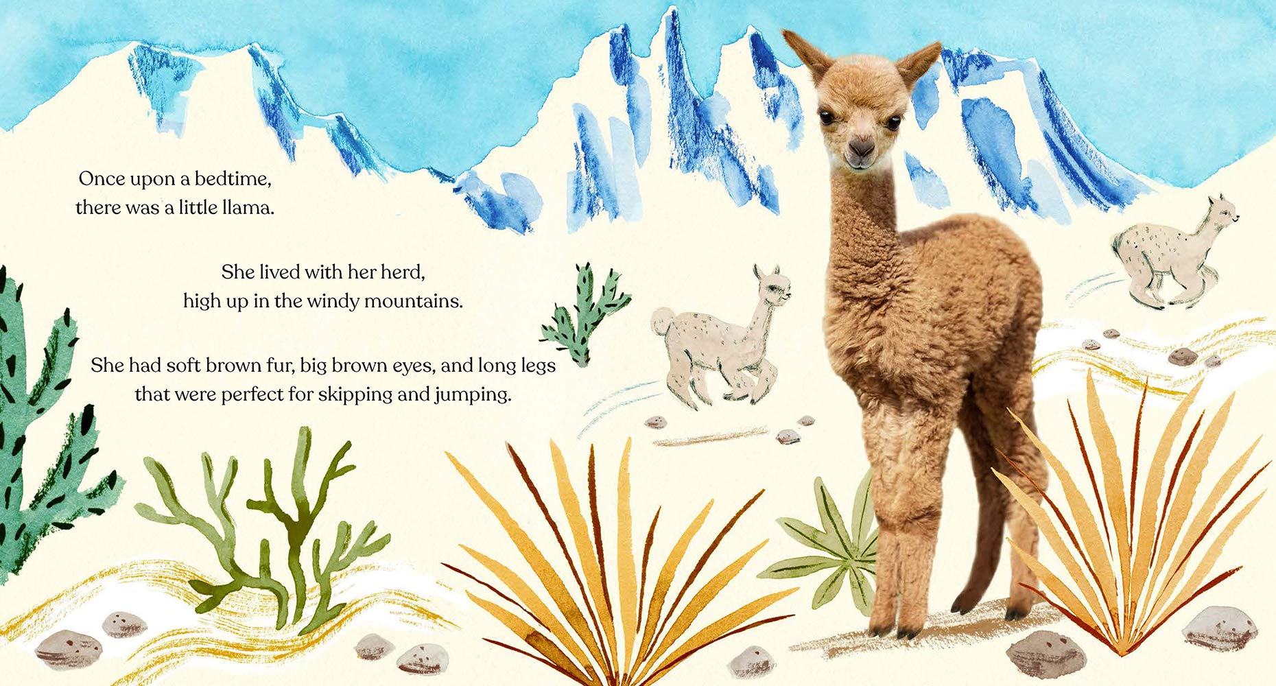 Goodnight, Little Llama - Just Fabulous Palm Springs