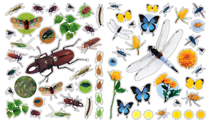 Eyelike Stickers: Bugs - Just Fabulous Palm Springs
