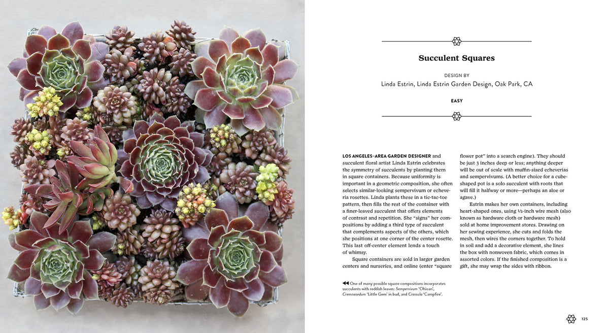 Succulents Simplified - Just Fabulous Palm Springs