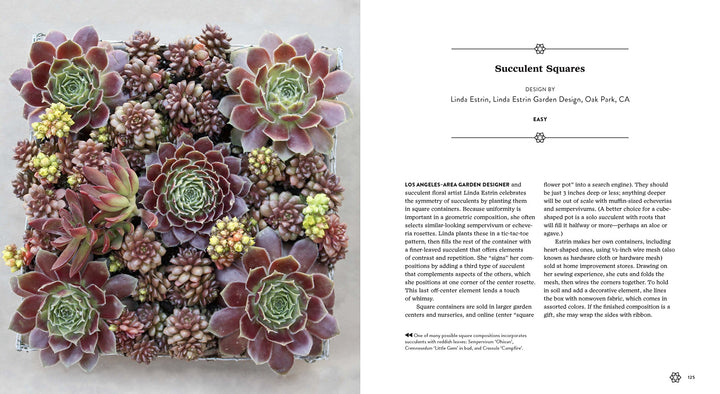 Succulents Simplified - Just Fabulous Palm Springs