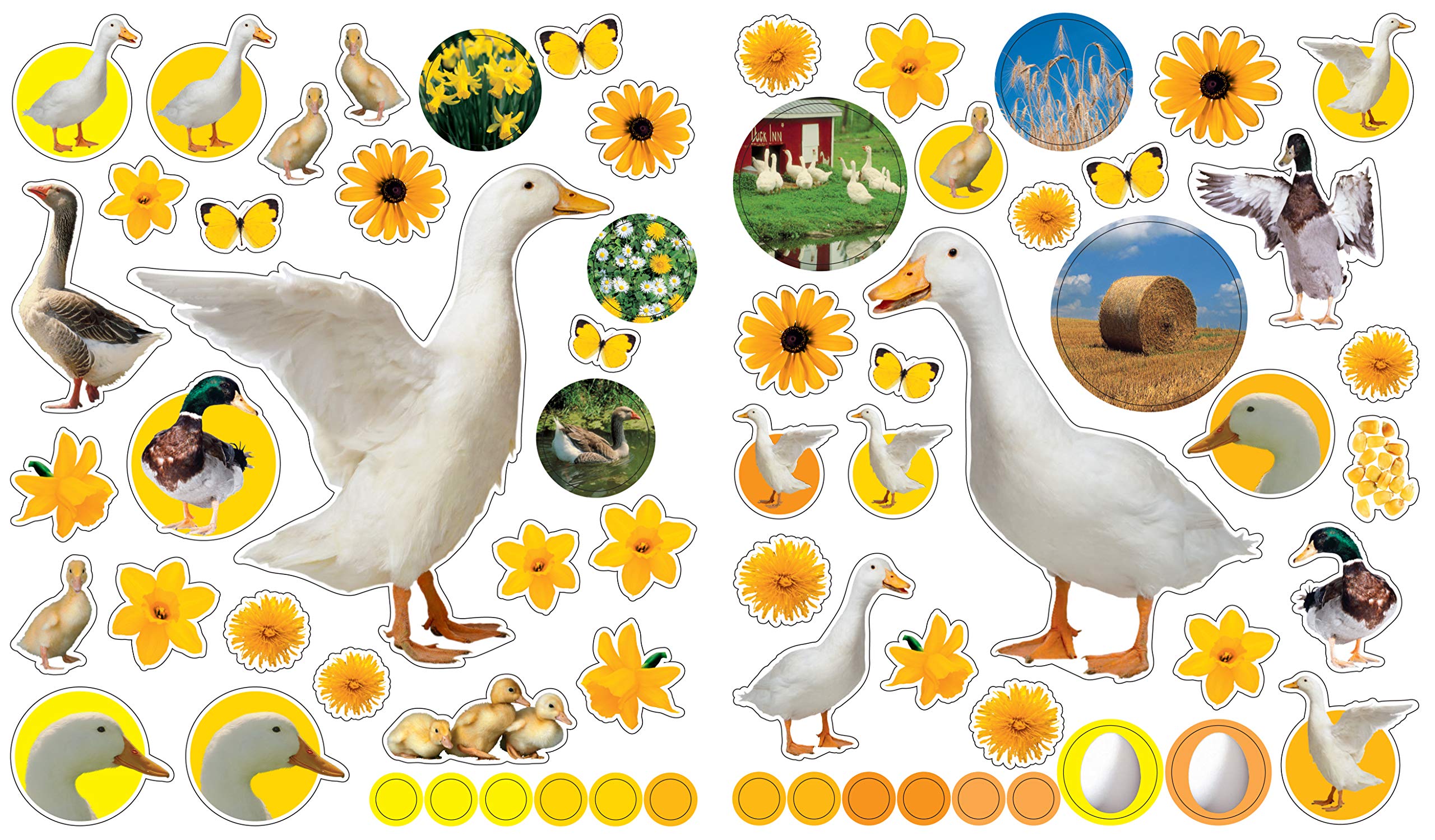 Eyelike Stickers: On the Farm - Just Fabulous Palm Springs