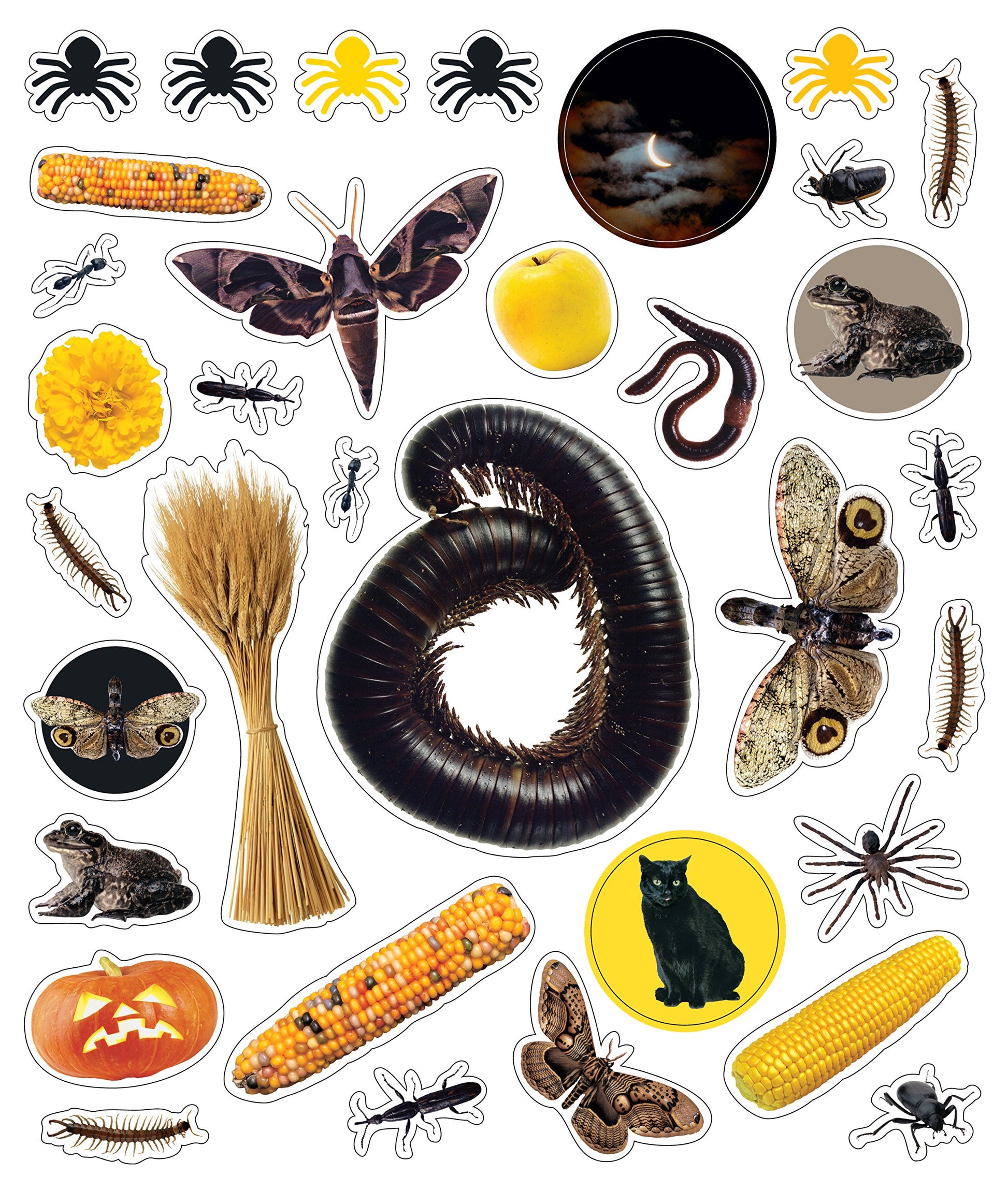 Eyelike Stickers: Halloween - Just Fabulous Palm Springs
