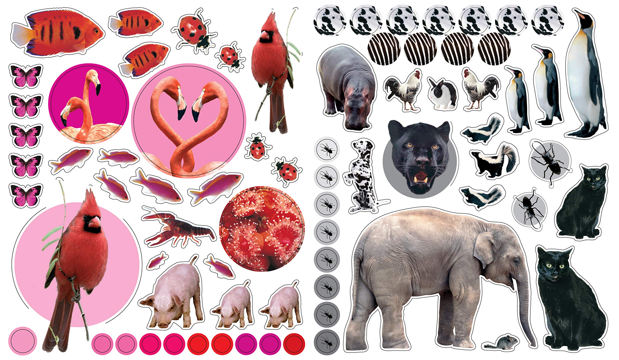 Eyelike Stickers: Animals - Just Fabulous Palm Springs