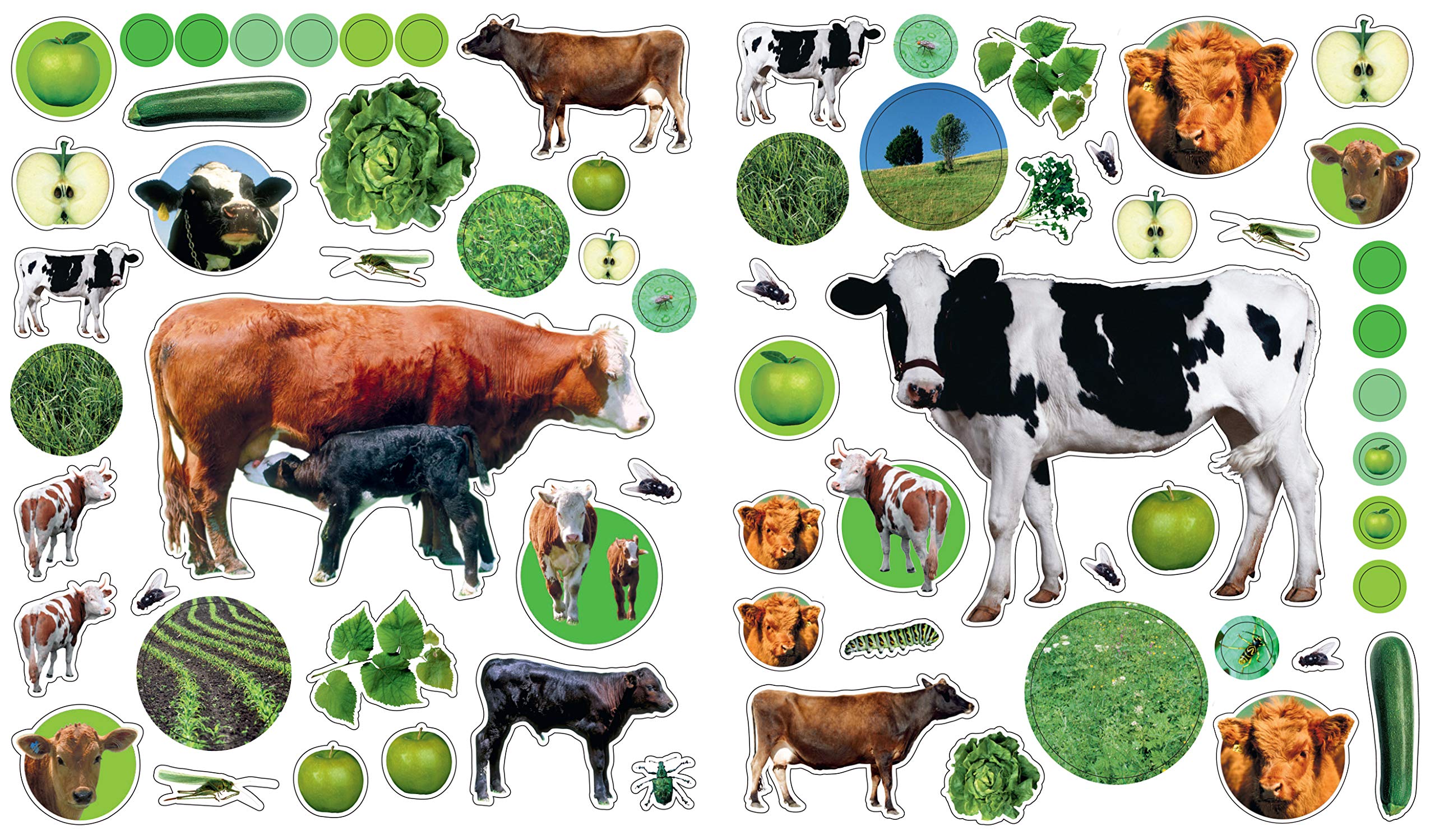 Eyelike Stickers: On the Farm - Just Fabulous Palm Springs