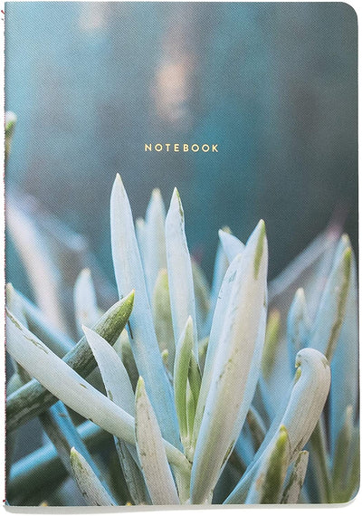 Succulent Garden: Notebook Collection