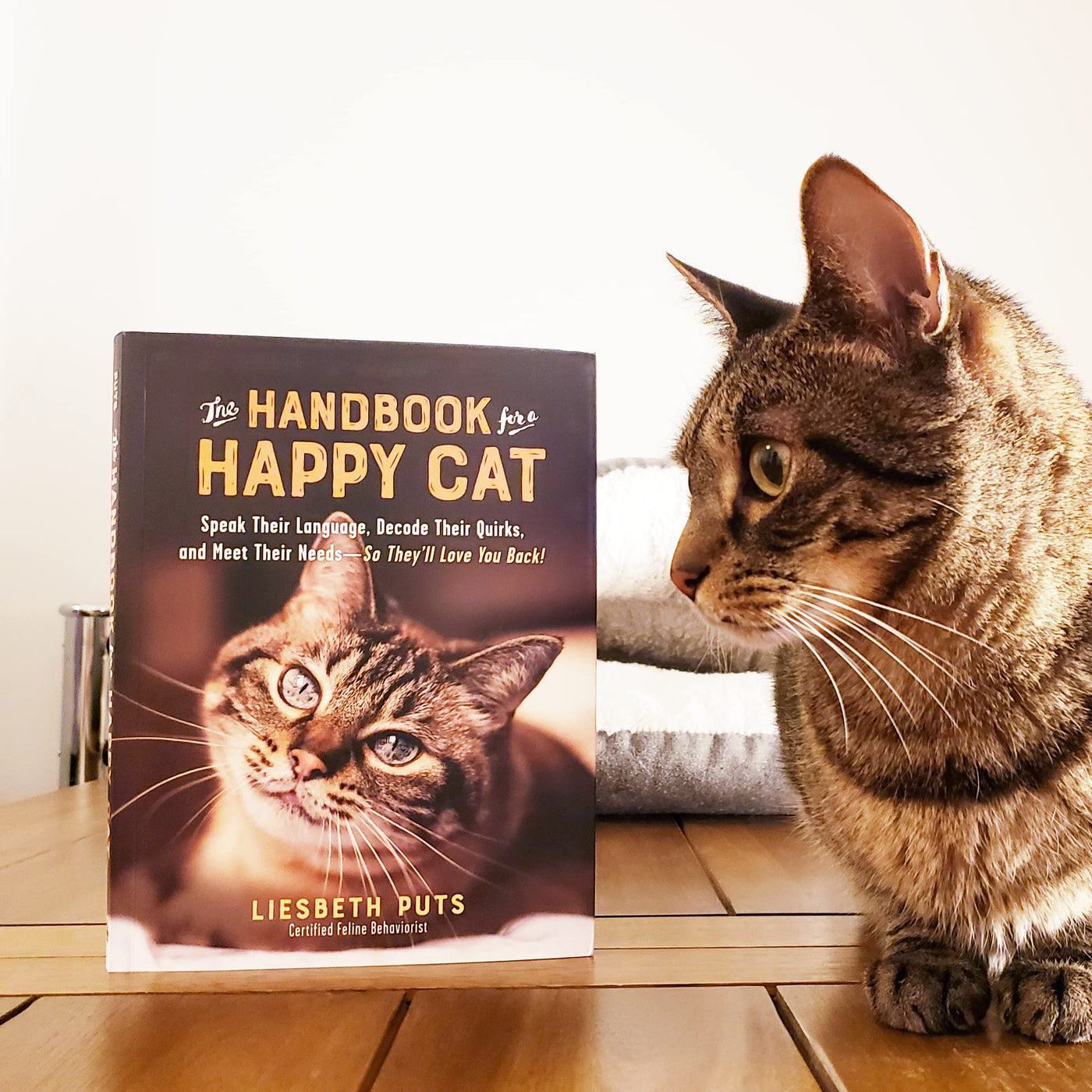 The Handbook for a Happy Cat