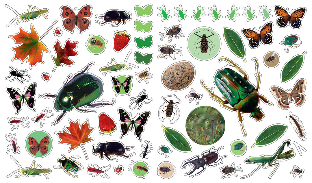 Eyelike Stickers: Bugs - Just Fabulous Palm Springs