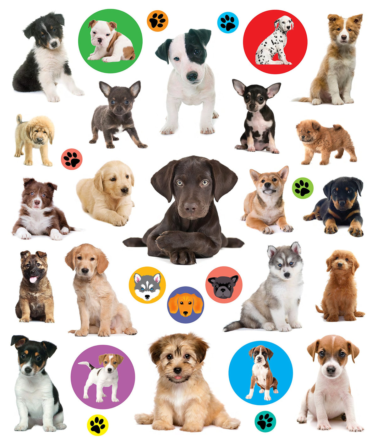 Eyelike Stickers: Puppies - Just Fabulous Palm Springs