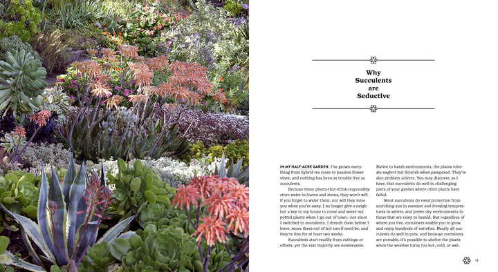 Succulents Simplified - Just Fabulous Palm Springs