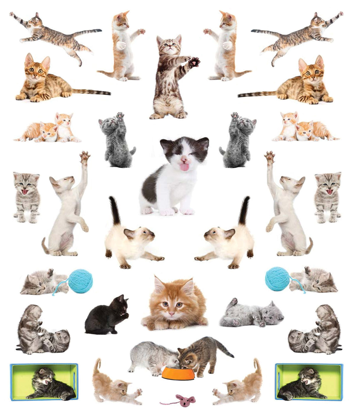 Eyelike Stickers: Kittens - Just Fabulous Palm Springs