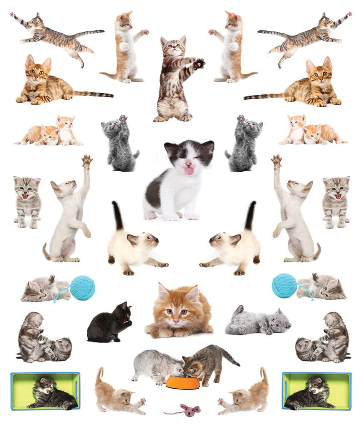 Eyelike Stickers: Kittens - Just Fabulous Palm Springs