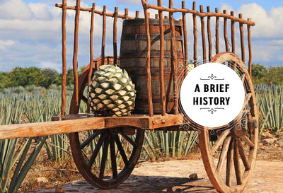 Enjoying Tequila: A Tasting Guide And Journal