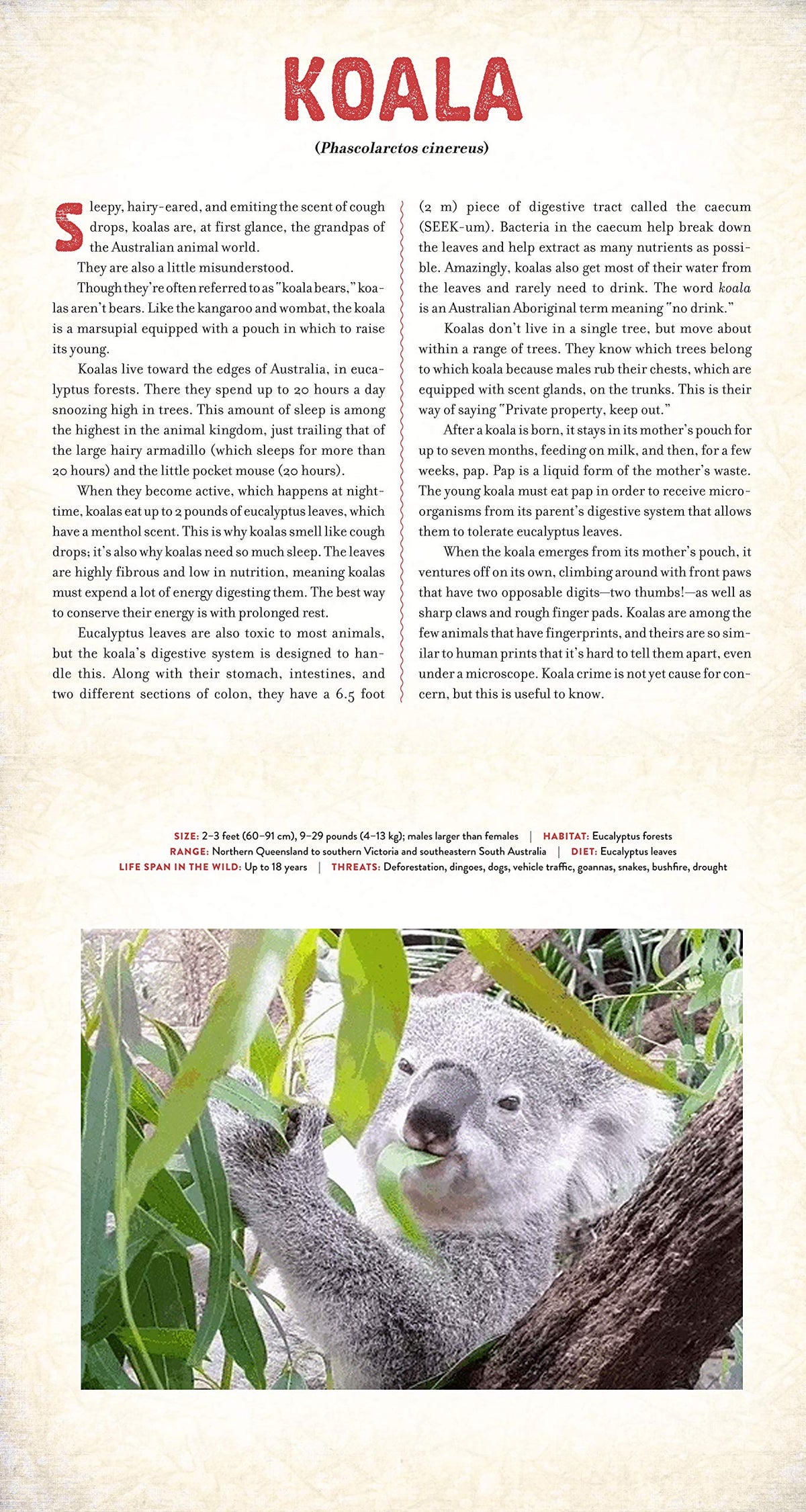 Outback - Photicular Book - Just Fabulous Palm Springs