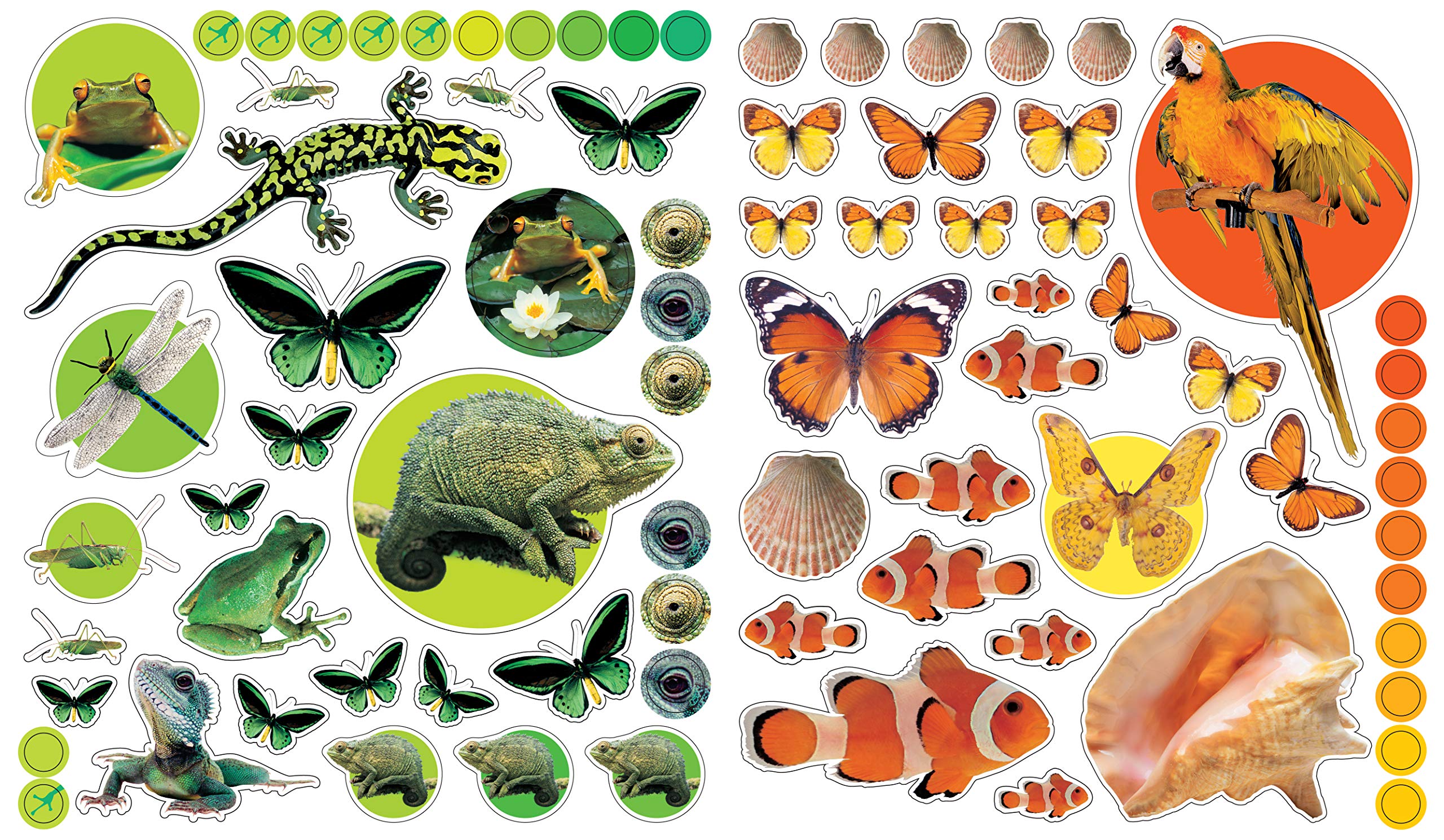 Eyelike Stickers: Animals - Just Fabulous Palm Springs