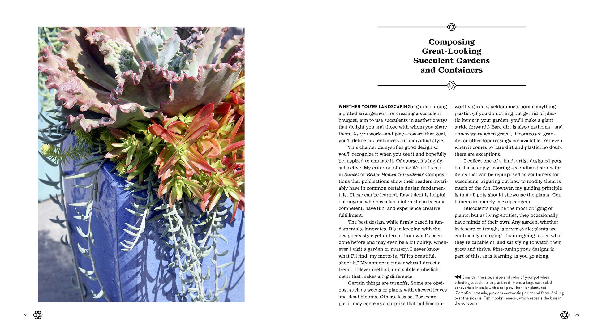 Succulents Simplified - Just Fabulous Palm Springs