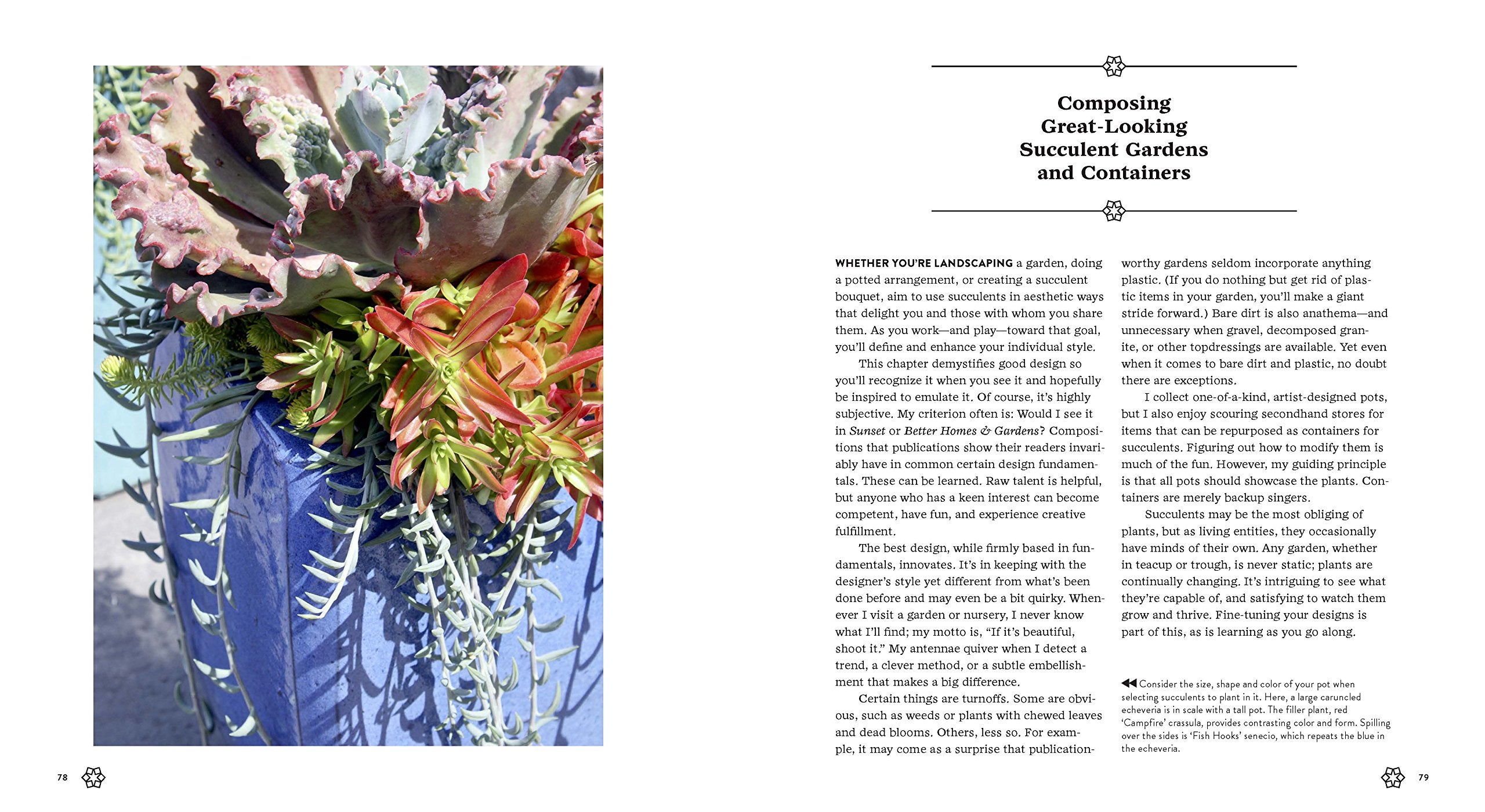 Succulents Simplified - Just Fabulous Palm Springs