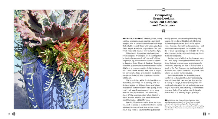 Succulents Simplified - Just Fabulous Palm Springs