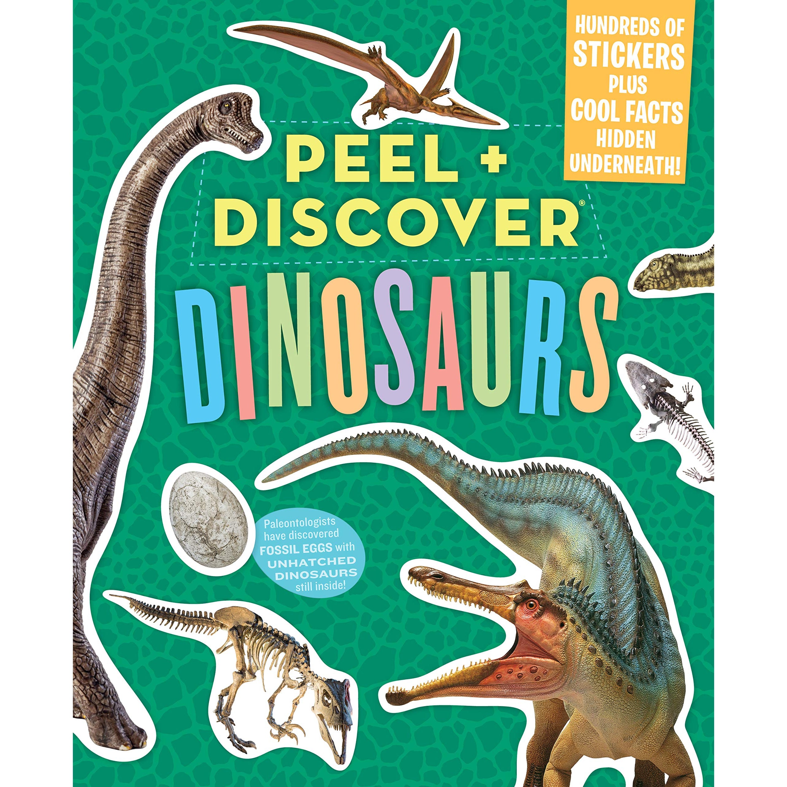 Peel + Discover: Dinosaurs - Just Fabulous Palm Springs
