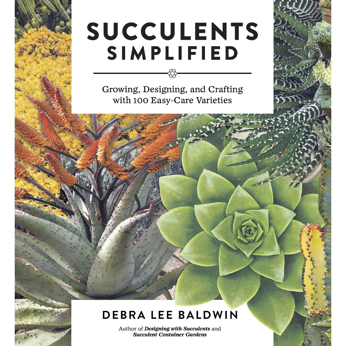 Succulents Simplified - Just Fabulous Palm Springs