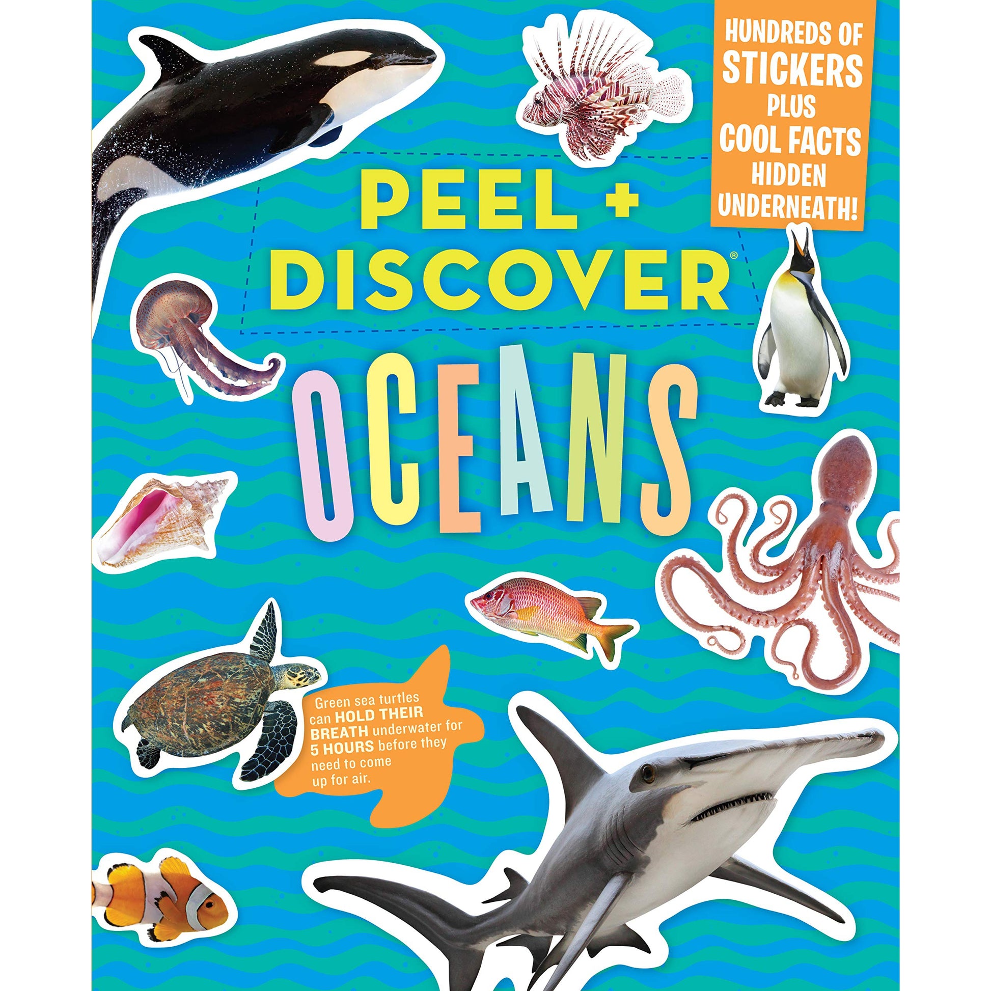 Peel + Discover: Oceans - Just Fabulous Palm Springs