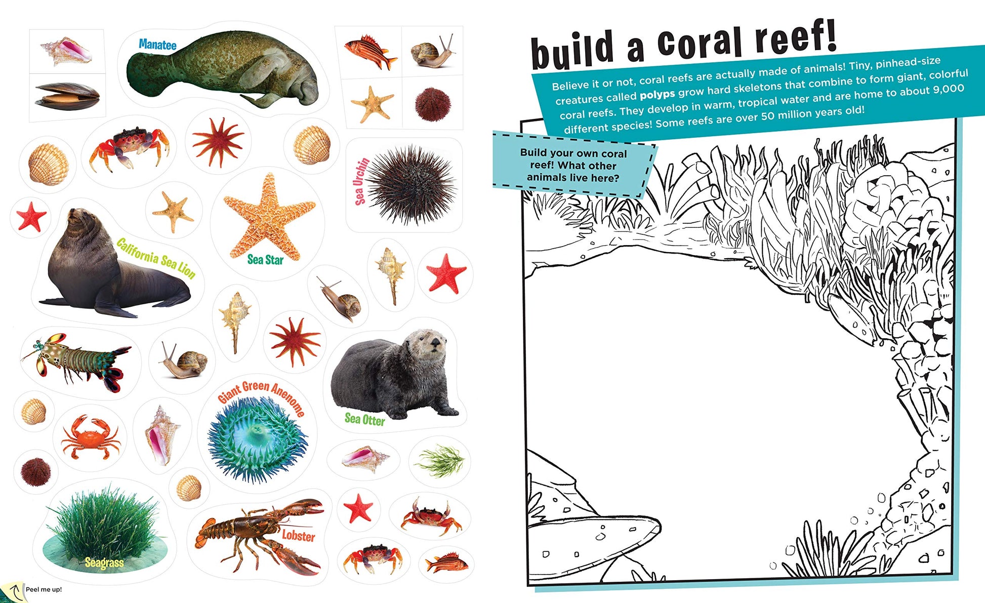 Peel + Discover: Oceans - Just Fabulous Palm Springs