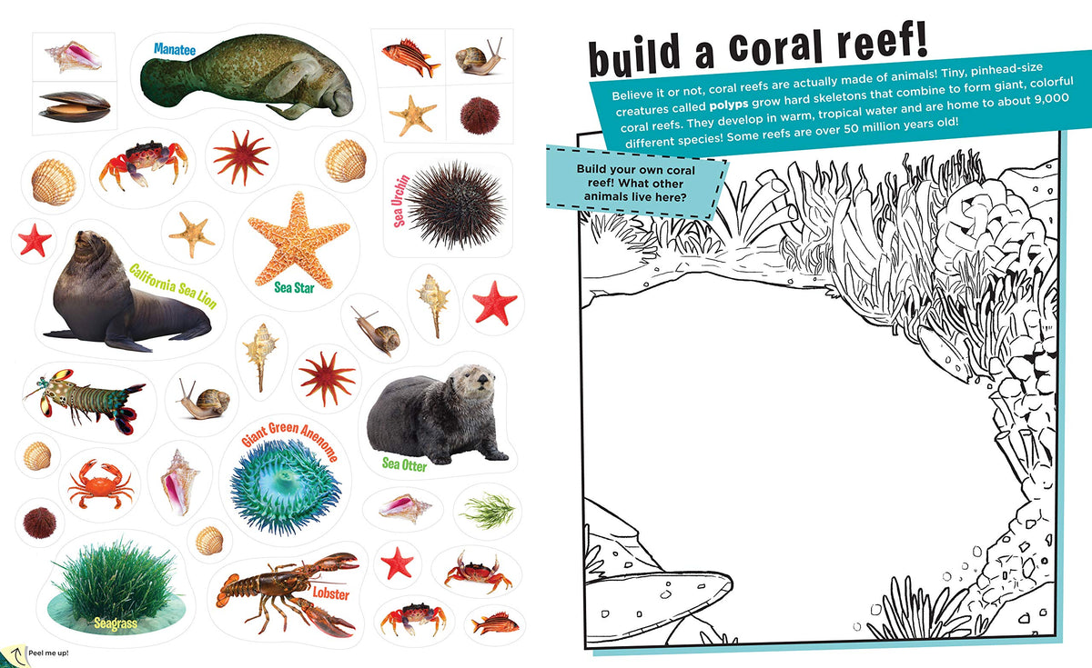 Peel + Discover: Oceans - Just Fabulous Palm Springs