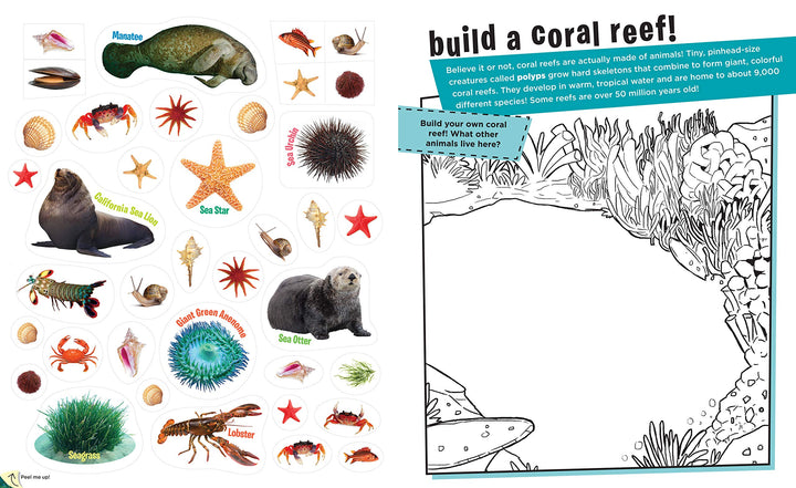 Peel + Discover: Oceans