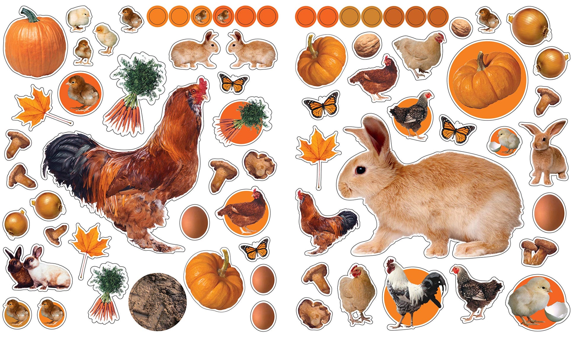 Eyelike Stickers: On the Farm - Just Fabulous Palm Springs