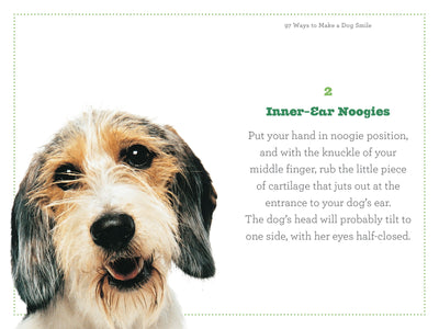 97 Ways To Make A Dog Smile - Just Fabulous Palm Springs