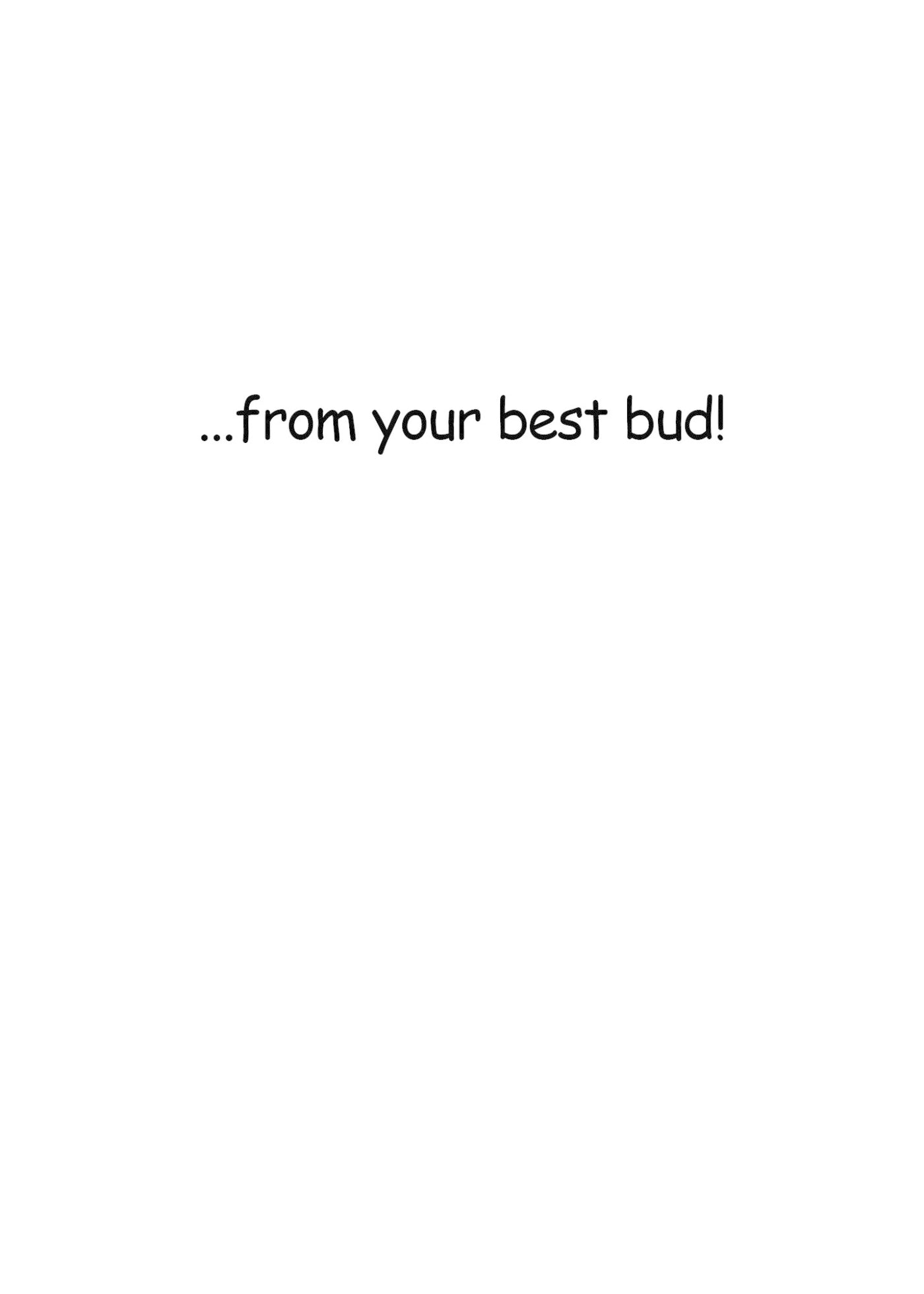 Happy Birthday Bud book