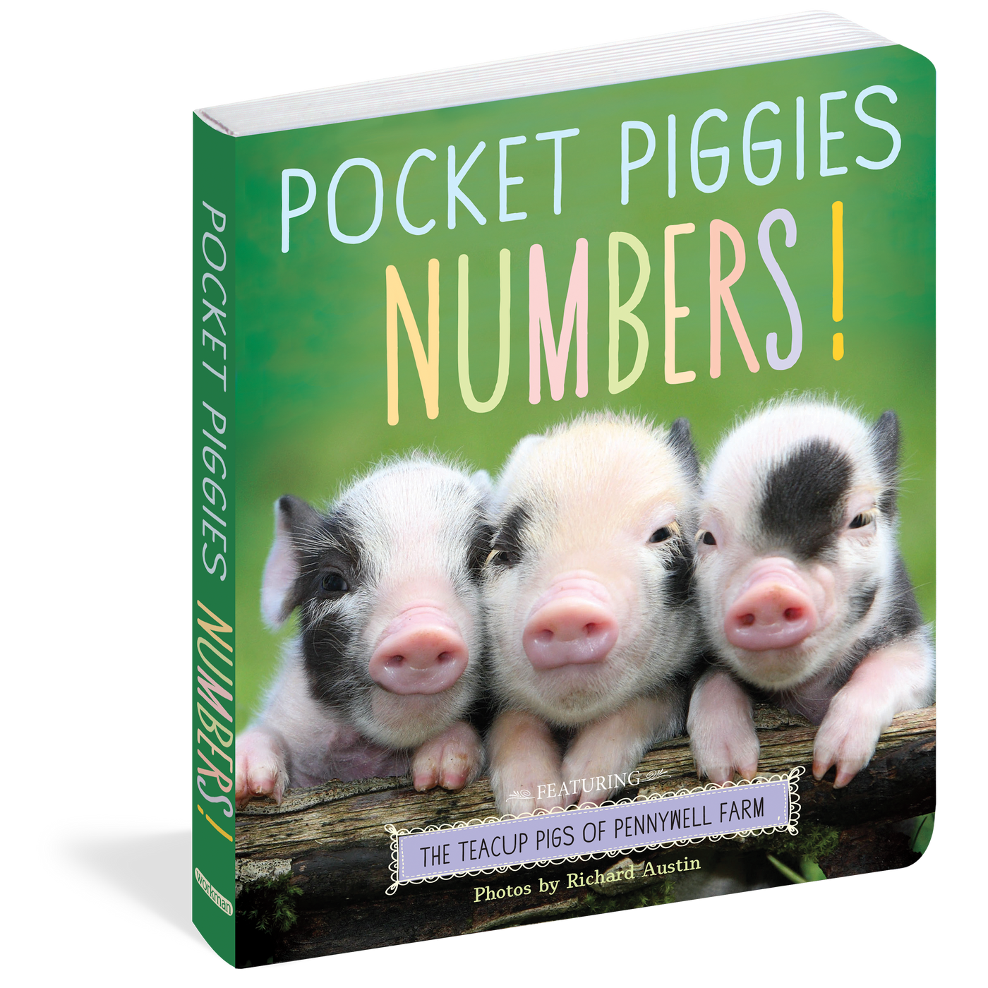 Pocket Piggies Numbers book