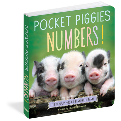 Pocket Piggies Numbers book