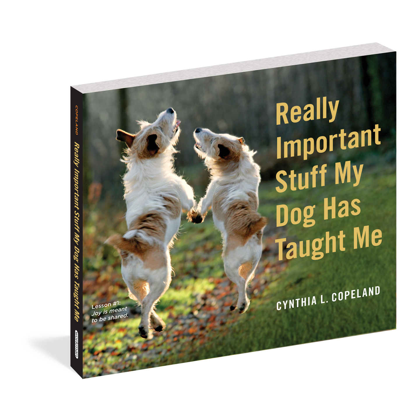 Really Important Stuff My Dog book