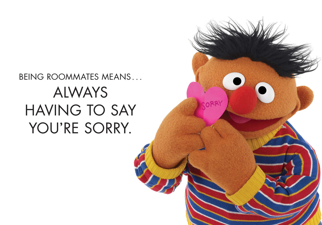 The Importance of Being Ernie (and Bert) - A Best Friends' Guide to Life