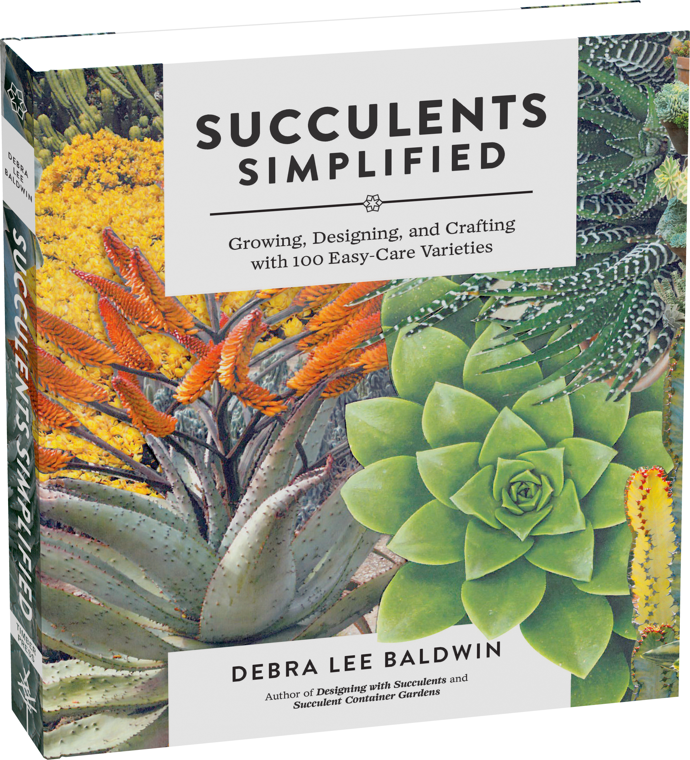 Succulents Simplified book